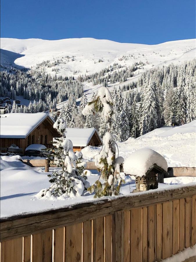 Almhaus Chalet Lachtal Oberwoelz Stadt エクステリア 写真